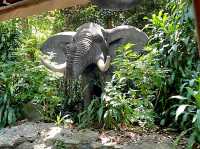 The fun Jungle River Cruise in HK Disneyland