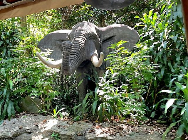 The fun Jungle River Cruise in HK Disneyland
