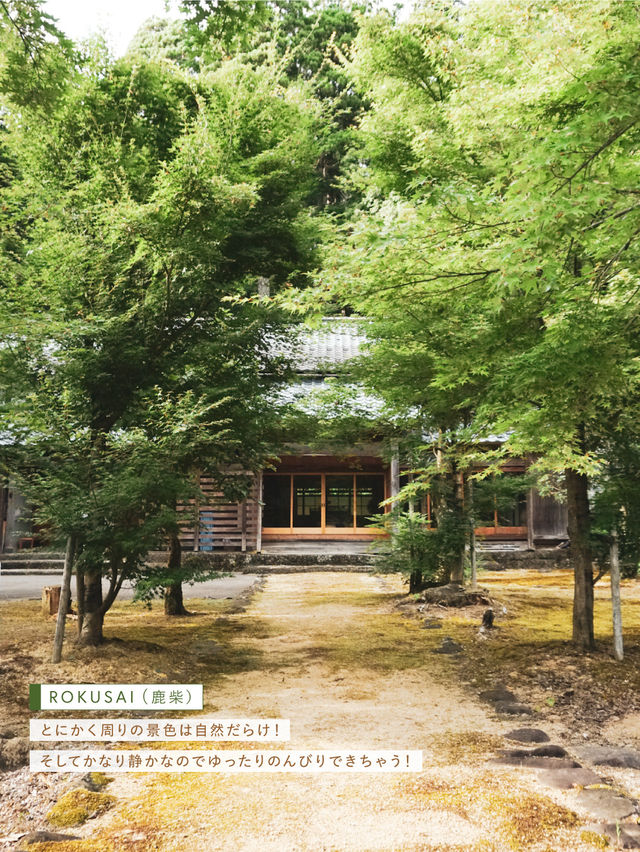 【福井県勝山市】苔をモチーフにした日本茶カフェ🍵 【福井県勝山市】苔をモチーフにした日本茶カフェ🍵