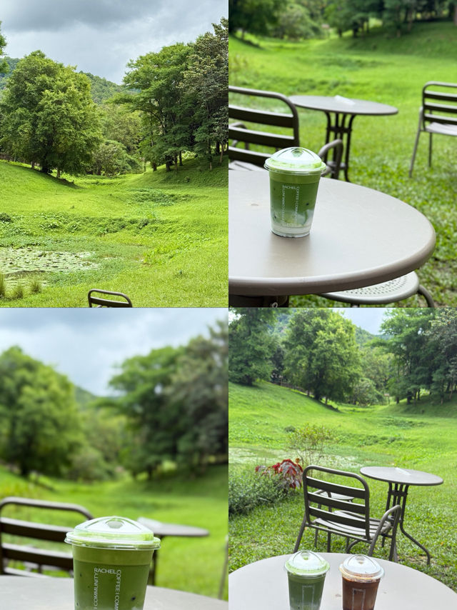 คาเฟ่เชียงใหม่ ให้ฟิลเหมือนอยู่อิตาลิสุดๆ คาเฟ่เชียงใหม่ ให้ฟิลเหมือนอยู่อิตาลิสุดๆ