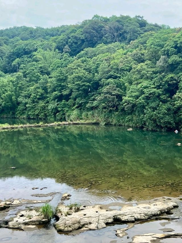 Chasing Views at Shifen Waterfall