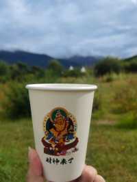美丽的风景