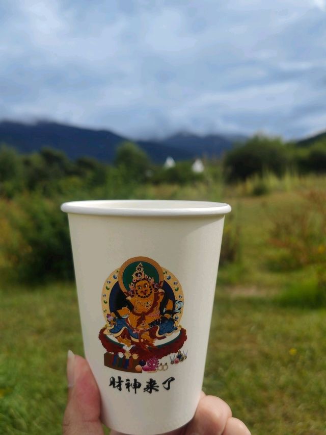 美丽的风景