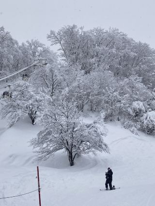 雪景、風光與甜蜜咖啡時光