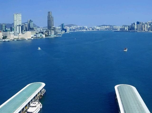 Sky-High Views on the Harbor