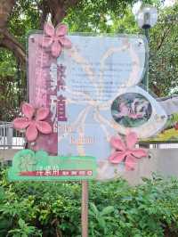東涌尋紫荊｜洋紫荊教育徑小記｜小眾社區景點與親子自然課