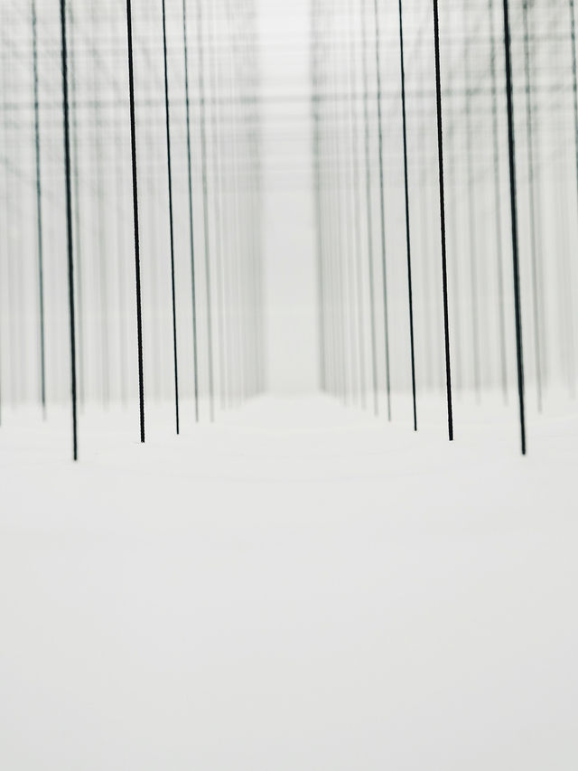 台中限定 2025夏天必看展《Net & String Taichung》  台中限定 2025夏天必看展《Net & String Taichung》