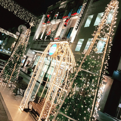 横浜元町 ネームブランド × 冬のショッピングストリート | Trip