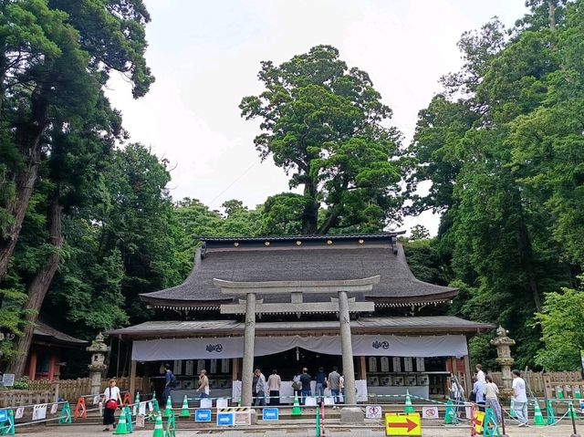 北千葉/南茨城鐵路小旅遊