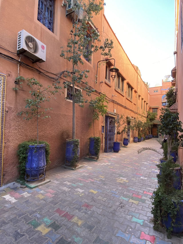 The Red City: The Medina of Marrakech