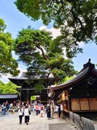 東京明治公園