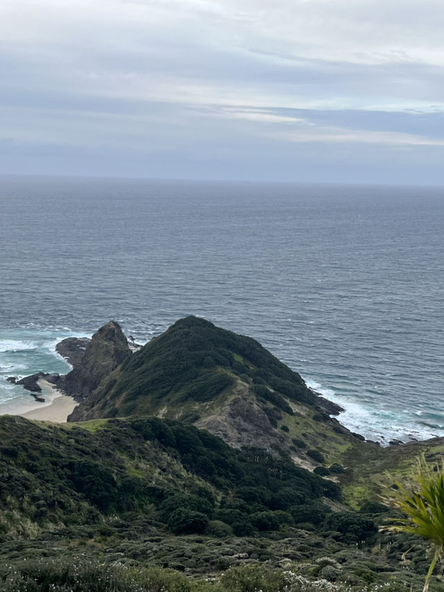 紐西蘭北島北燈塔 紐西蘭北島北燈塔