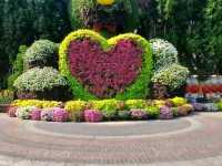 Miracle Garden