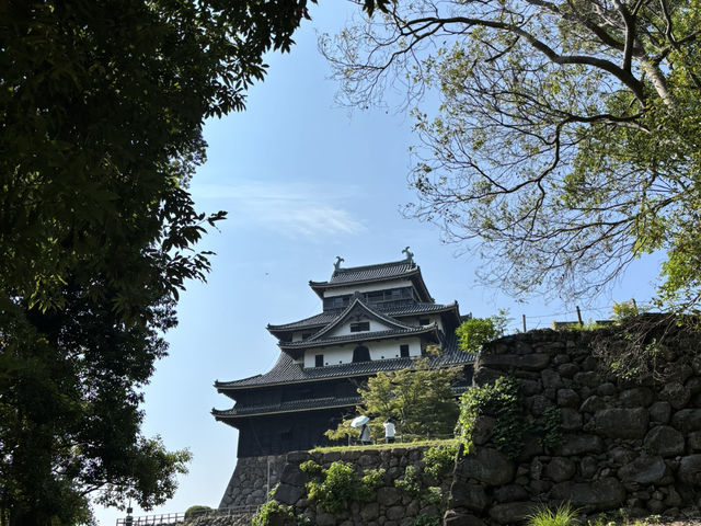 松江城天守 外觀之美 鯱與花頭窓的優雅守護✨🐟 松江城天守 外觀之美 鯱與花頭窓的優雅守護✨🐟
