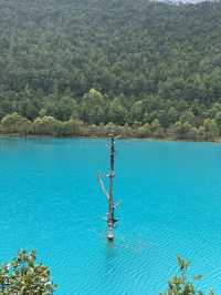 Blue Moon Valley: A Dreamlike Landscape