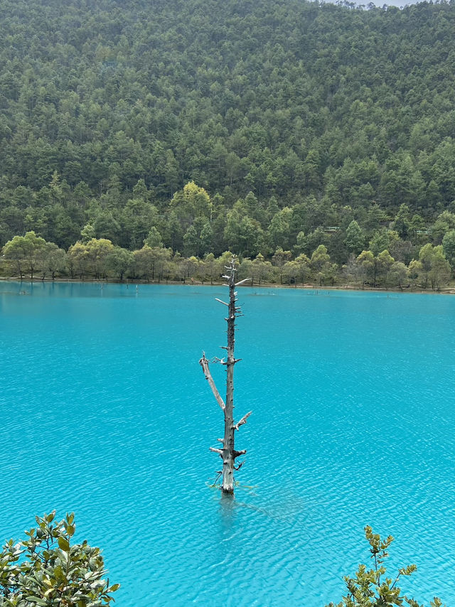 Blue Moon Valley: A Dreamlike Landscape