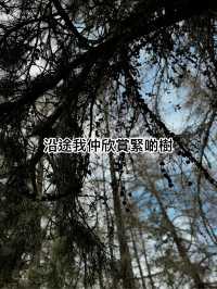 做少啲功課功課🤣，今次我就做咗大冤種啦