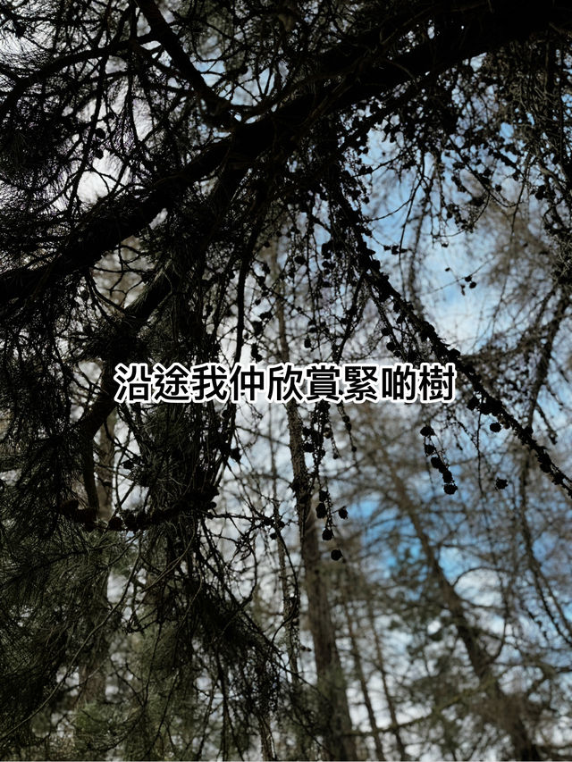 做少啲功課功課🤣，今次我就做咗大冤種啦