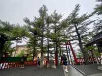 陰雨下漫步富士山五合目⛰️  