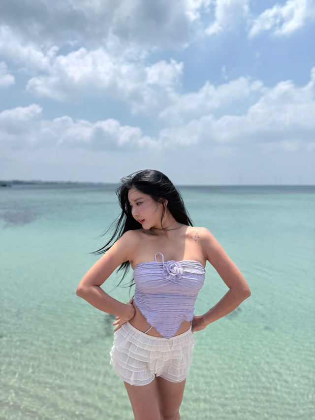 동선최적화 시킨 제주도 2 박3 일 필수 코스 !!❤️ 이대로만 가면 제주도 다봄 