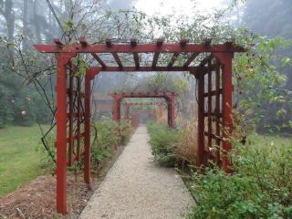 The smoke-filled Blue Mountains Toy and Railway Museum
