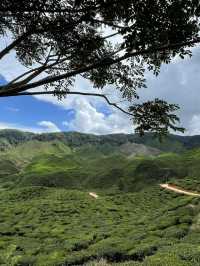 Cameron Highlands - city in the mist