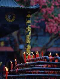 🌸 Dujiangyan – A Thousand-Year Symphony of Purple Blossoms 🌸