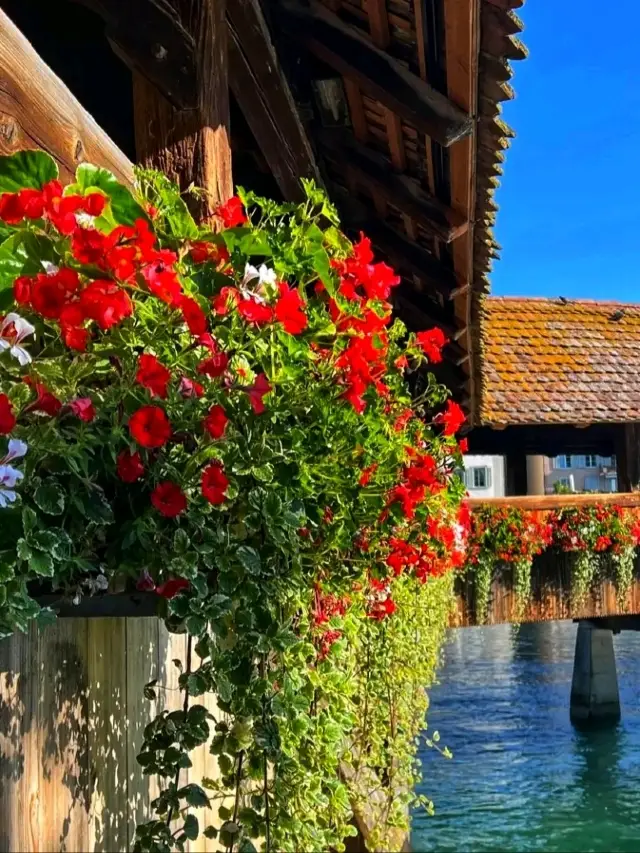 🌉 Chapel Bridge – Lucerne’s Fairytale Landmark 🌉