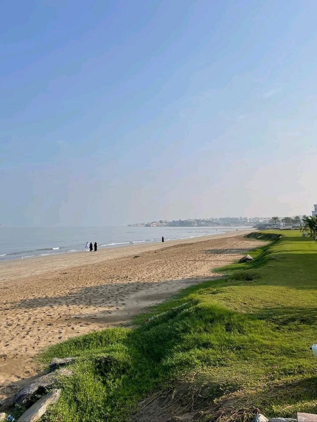 Exploring the Coastal Charm of Muscat