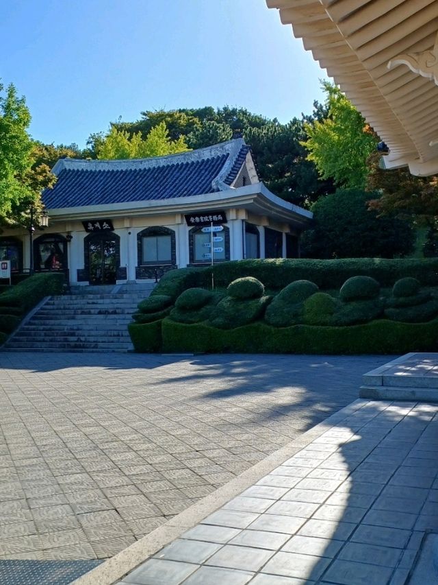 고요 속에 피어나는 충절의 향기
