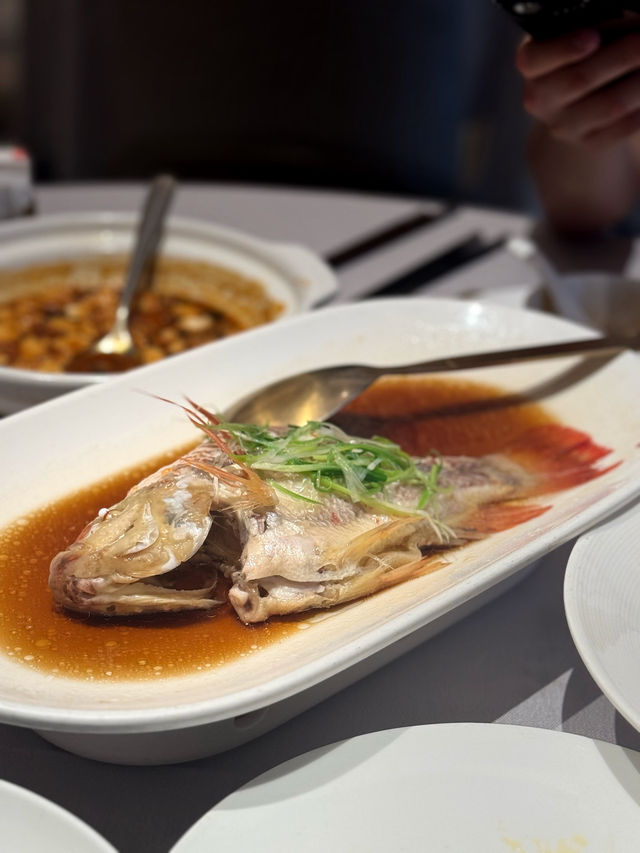 🦞【深圳人氣海鮮餐廳|超高性價比海鮮套餐|仲有包廂可以一班人慶祝!】 🦞【深圳人氣海鮮餐廳|超高性價比海鮮套餐|仲有包廂可以一班人慶祝!】