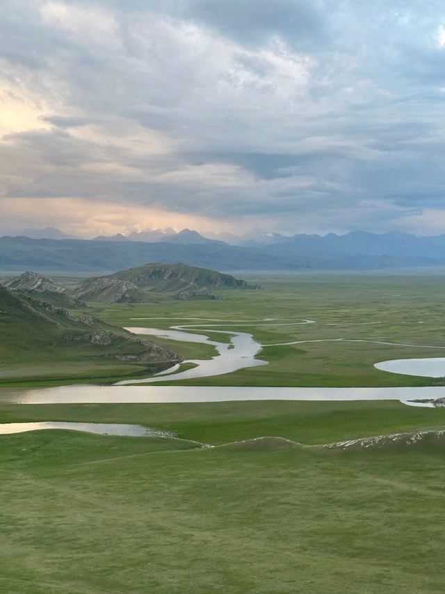 Bayanbulak: Song of the Tianshan