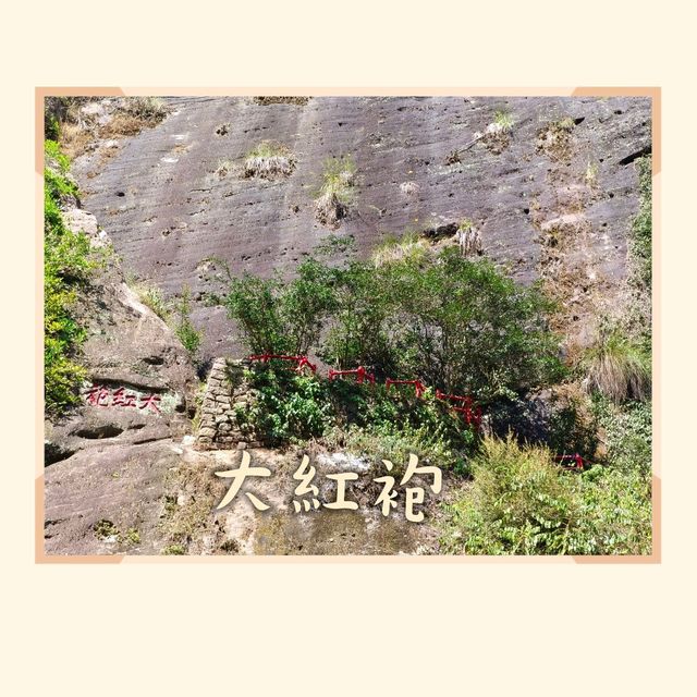 武夷山4日3夜悠閒遊。