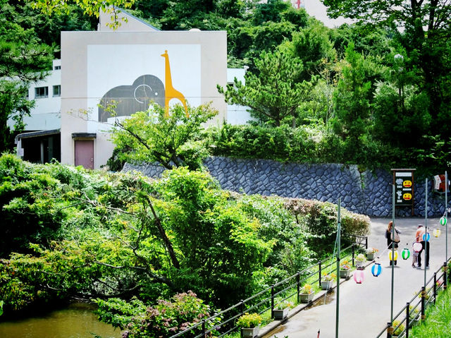日本🇯🇵秋田大森山動物園🐒 日本🇯🇵秋田大森山動物園🐒