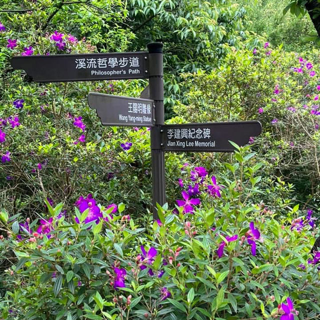 🌸⛰️ Yangming Park – The Heart of Yangmingshan 🌳✨
