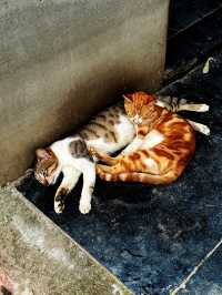  มนต์เสน่ห์แห่งมุมไบ มุมถ่ายรูปสวยจนลืมไม่ลง