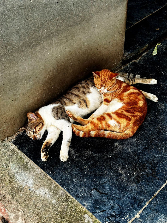  มนต์เสน่ห์แห่งมุมไบ มุมถ่ายรูปสวยจนลืมไม่ลง