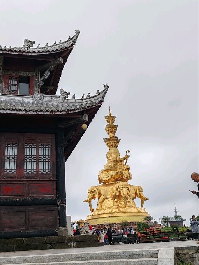 At the Summit of Mount Emei: Ever-Changing Weather, the Ups and Downs of Life