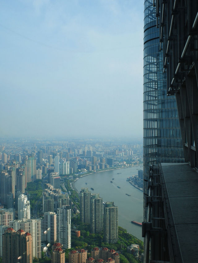 Top of Shanghai พาชมวิวเห็นทั้งเมืองเซี่ยงไฮ้🇨🇳
