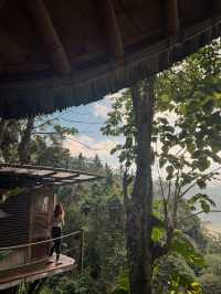 峇里島秘境竹屋住體驗🌿｜睡在原始森林看日出