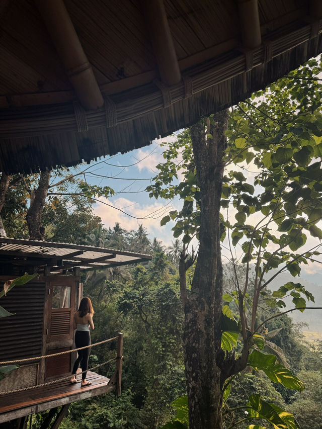 峇里島秘境竹屋住體驗🌿｜睡在原始森林看日出