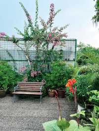 Urban Oasis: Discover the Secret Garden at 1 Utama