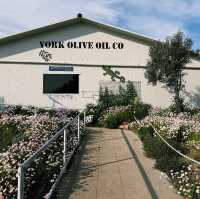 York Olive Oil Co