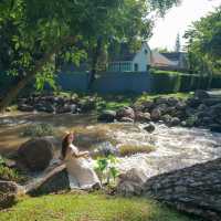 🌳🌱Flora Creek Chiang Mai ที่พักกลางขุนเขา