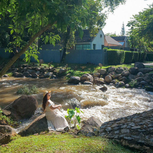 🌳🌱Flora Creek Chiang Mai ที่พักกลางขุนเขา