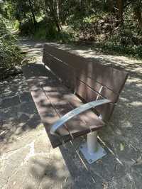 🌳 探訪「總理森林步道Prime Ministers’ Walk」：城市中的森林漫遊