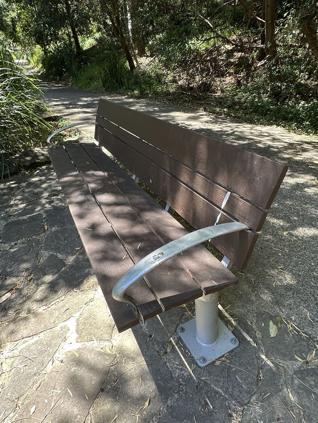 🌳 探訪「總理森林步道Prime Ministers’ Walk」：城市中的森林漫遊