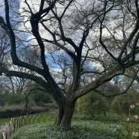 Arboretum Kalmthout