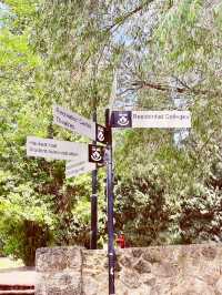 🌳 UWA: Where Ancient Trees Frame Modern Education in Nature's Grand Amphitheater! 🎓