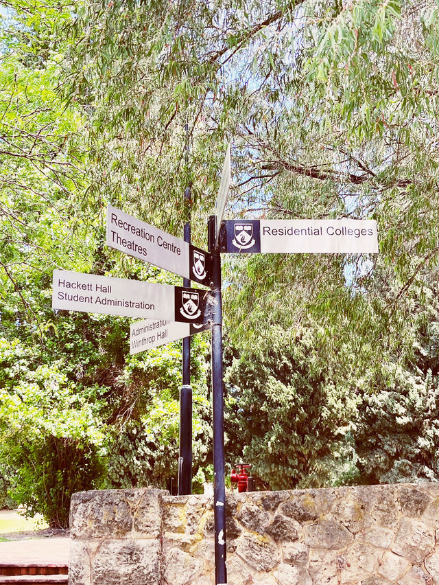 🌳 UWA: Where Ancient Trees Frame Modern Education in Nature's Grand Amphitheater! 🎓